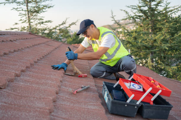 Best Roof Repair Services  in Oelwein, IA